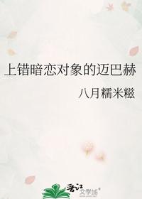 上錯(cuò)暗戀對(duì)象的邁巴赫