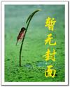 是江還是湖