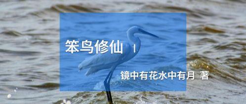 笨鳥(niǎo)修仙
