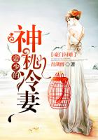 豪門(mén)閃婚：帝少的神秘冷妻